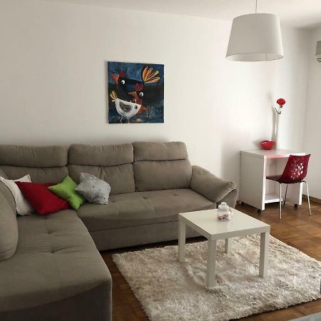 Apartment Safran Novigrad Istria Extérieur photo