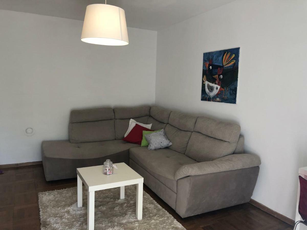 Apartment Safran Novigrad Istria Extérieur photo
