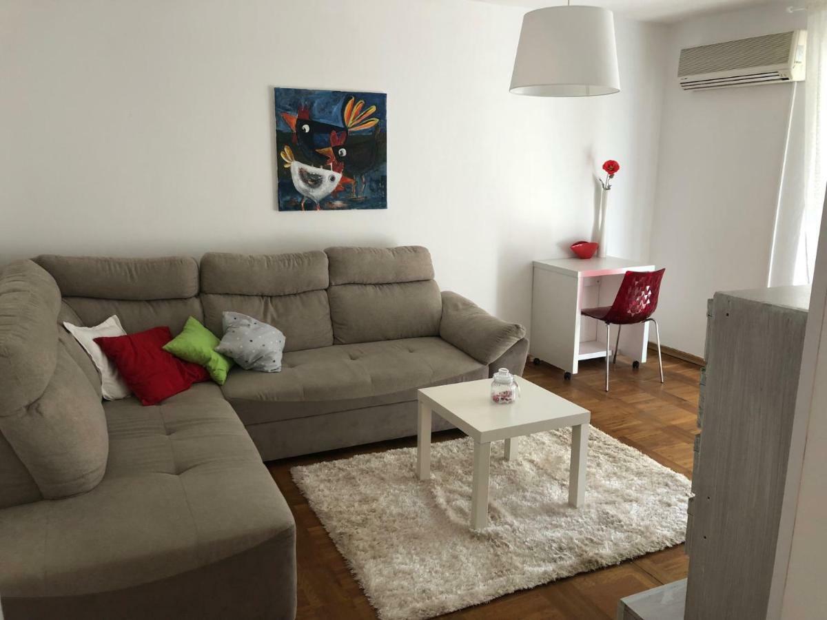 Apartment Safran Novigrad Istria Extérieur photo